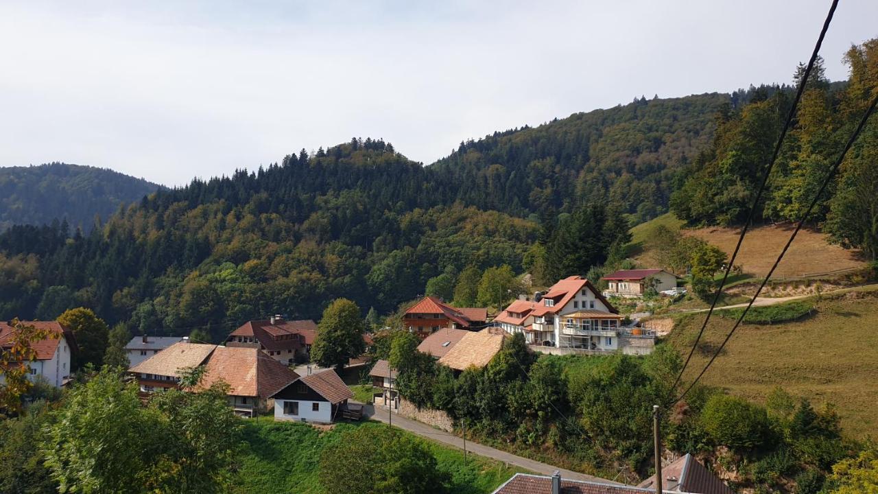 Ferienwohnung Auf Dem Bueckle Kleines Wiesental Экстерьер фото